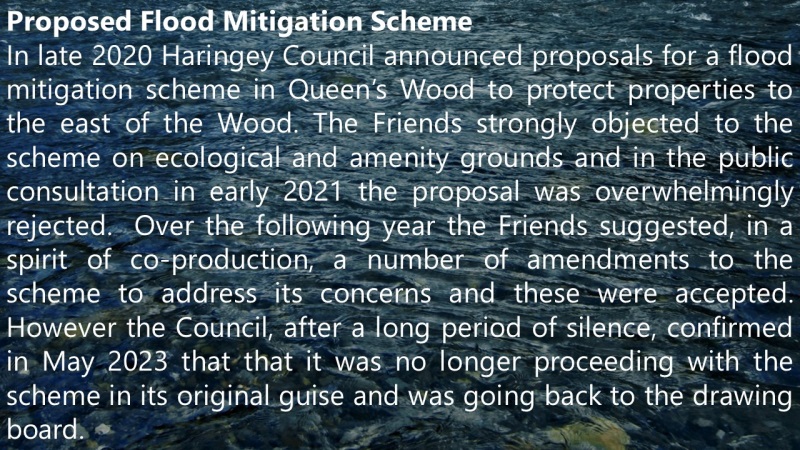 2023 Proposed Flood Mitigation Scheme