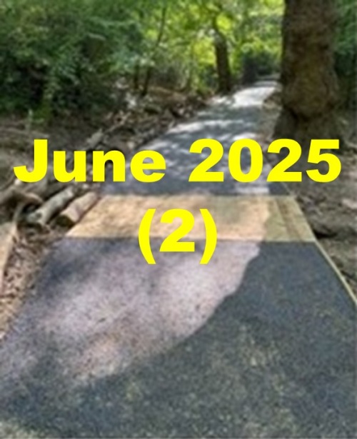 2025 June Newsletter